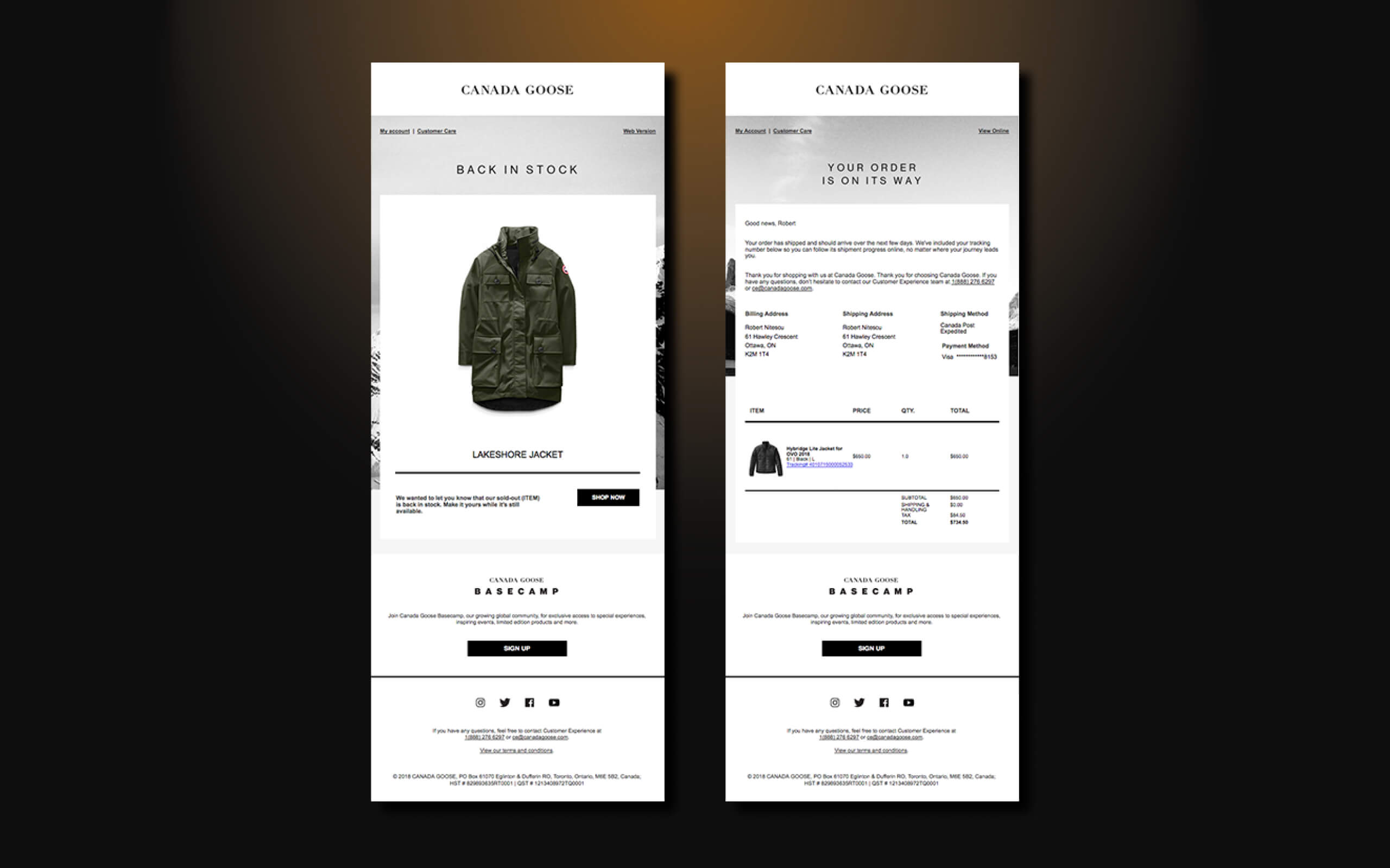 Relation1 - Canada Goose